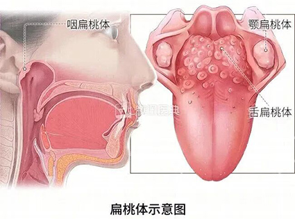 微信图片_2025-10-23_162545_537