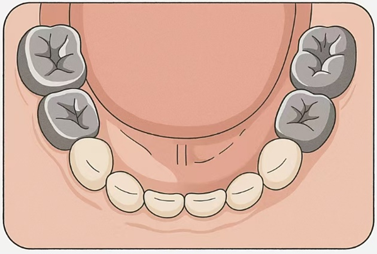 微信图片_2025-11-04_092319_447 微信图片_2025-11-04_092319_447