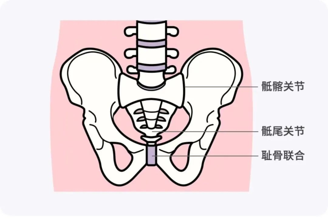 微信图片_20240417201825